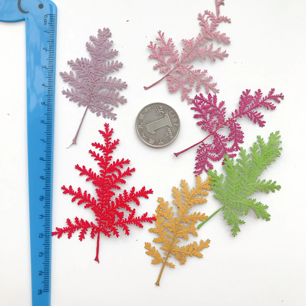 Artemisia Annua тисненые листья материалы для домашней фотосъемки DIY тиснение живопись