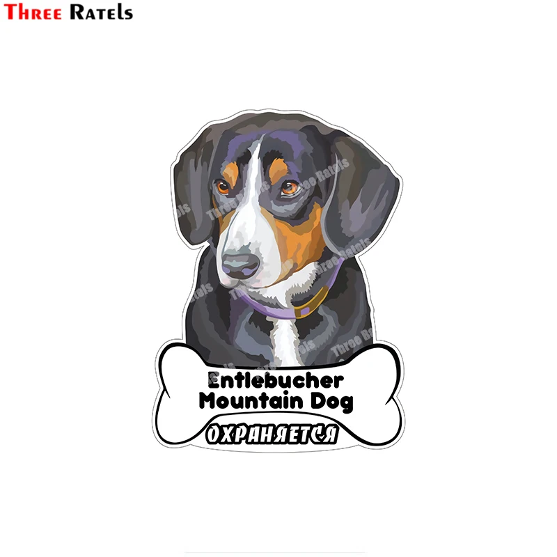 

Three Ratels B552 Sticker On Car Waterproof Protected Colorful Dog Stickers And Decals