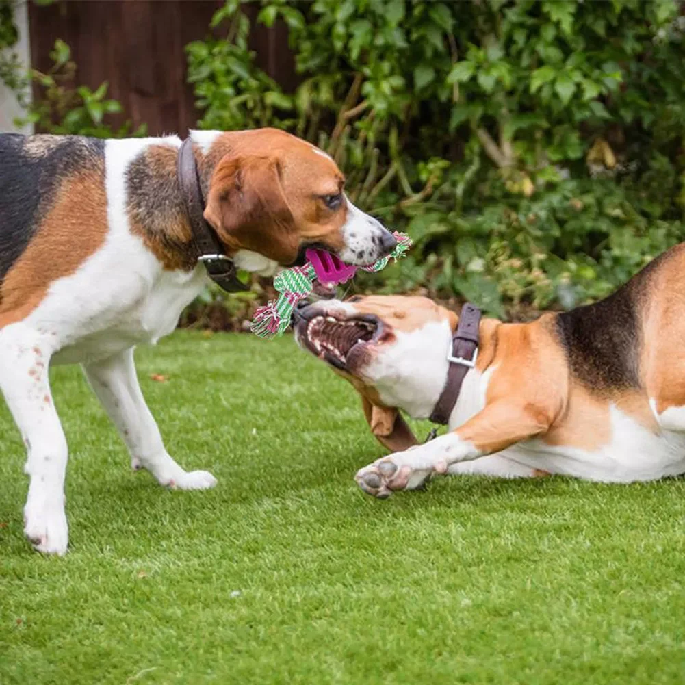 

2023NEW Dog Double Knot Ball Cotton Rope Puppy Bite Resistant Chews Molar Tooth Cleaning Ball Training Play Interactive Toy