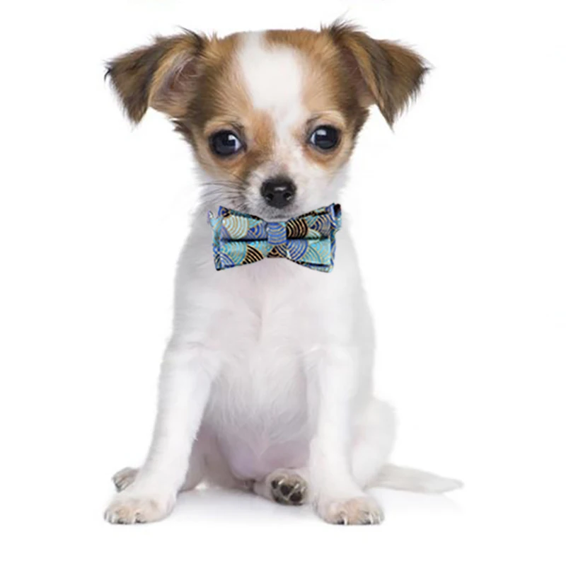 

Dog collar Pet dog accessories Pets dogs accessories coleira cachorro For dogs Puppy cat collar obroza dla psa gatos accesorios