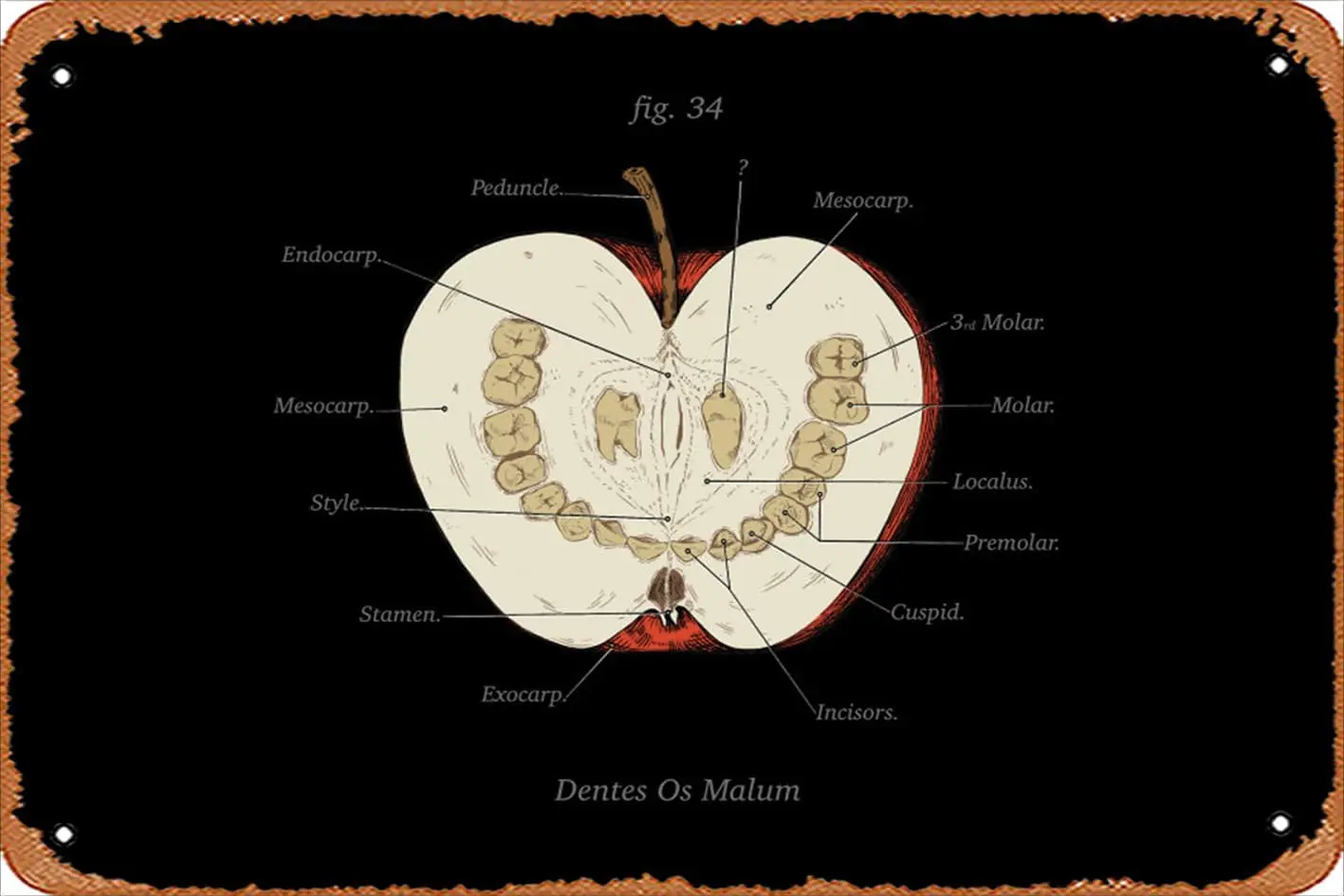 Zuhhgii Ретро жестяная вывеска The Magnus Archives - Анатомический класс Зубы Винтаж Забавная