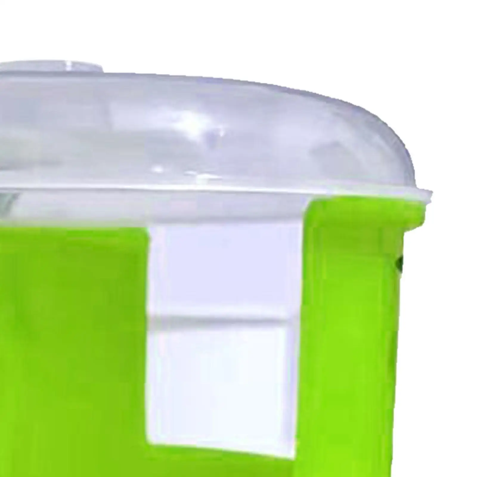 Поднос для проращивания портативный поднос детской комнаты простой в