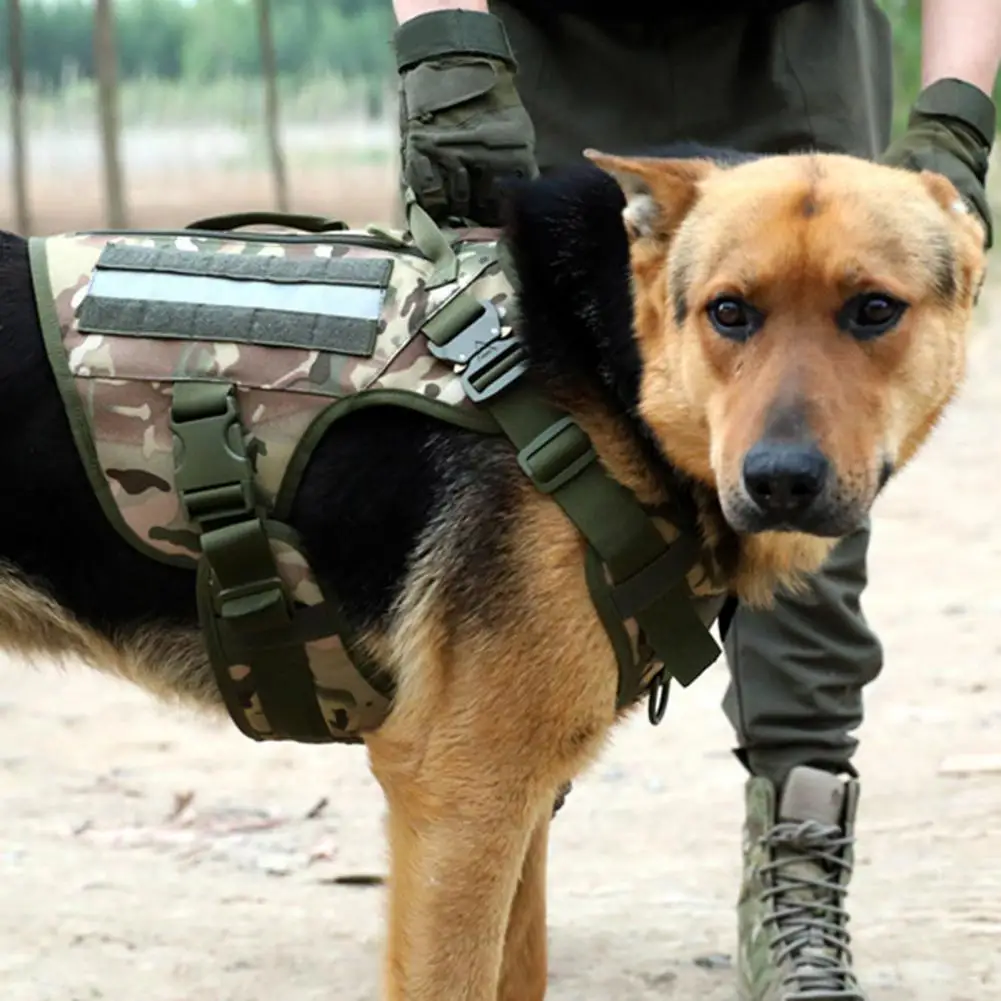 

Практичный жилет для собак с металлической пряжкой уютный Камуфляжный стильный жилет для собак для прогулок