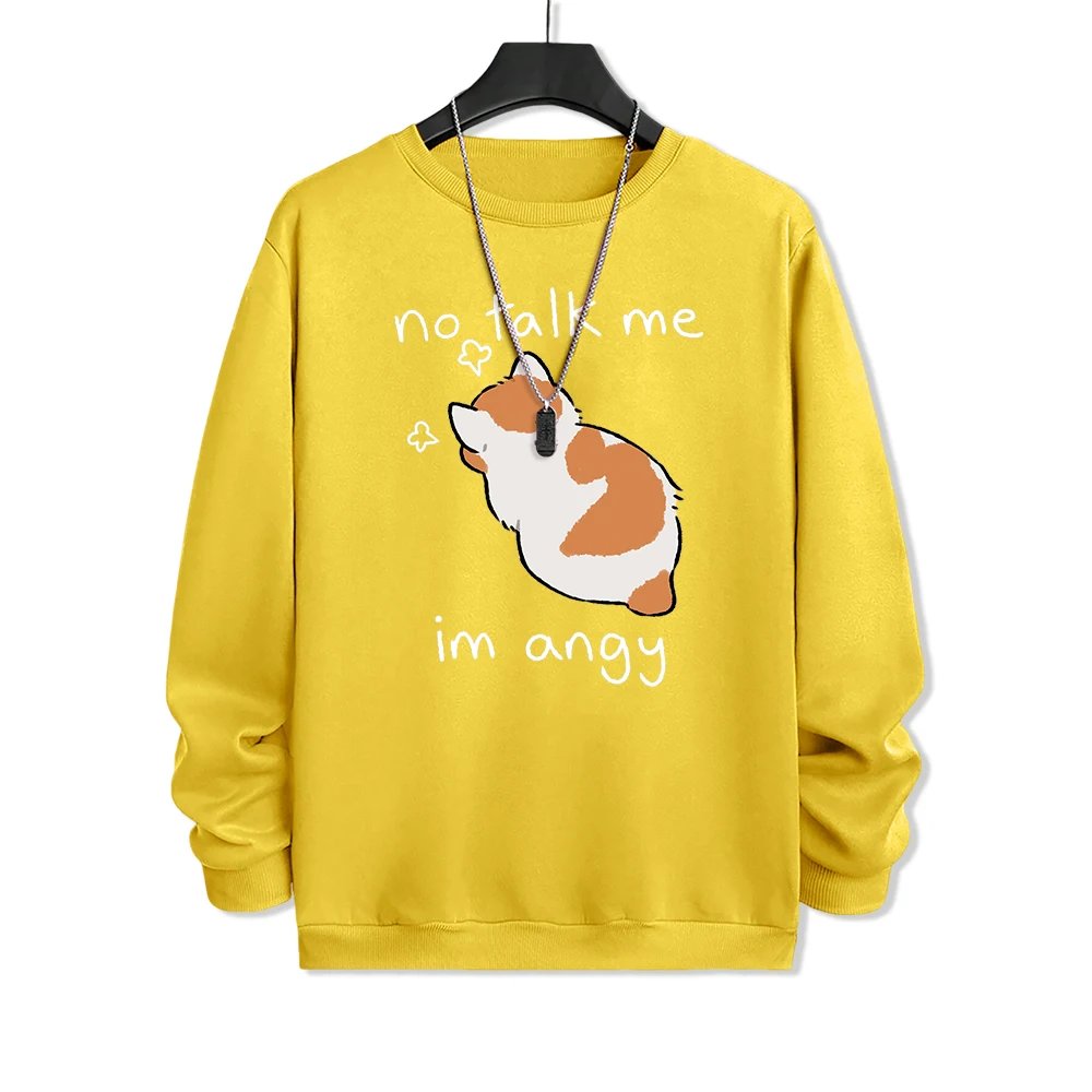 Свитшот мужской с принтом No Talk Me I Anay злой кот повседневный худи круглым вырезом