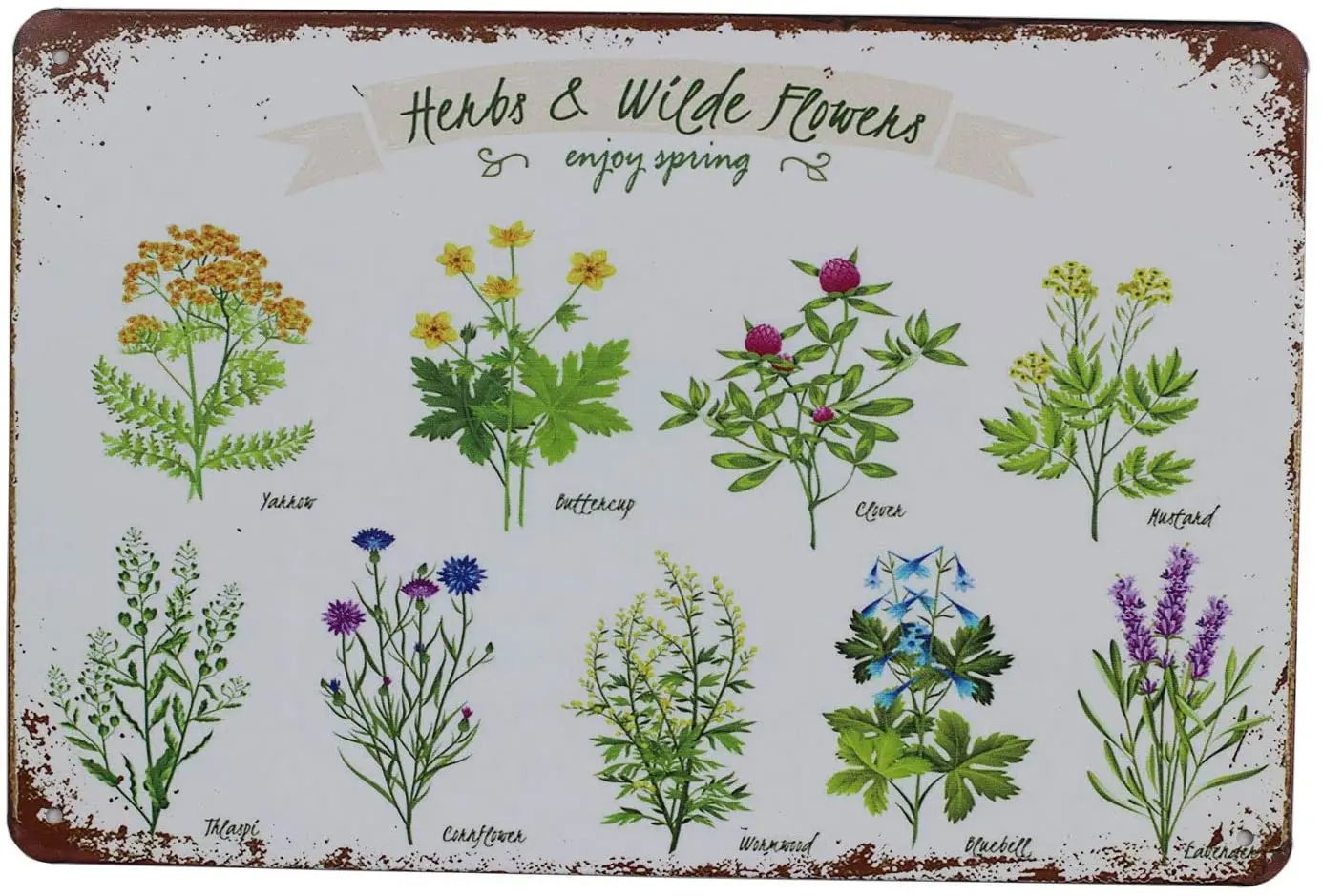 

Wildflowers Herbs Florals Botanical Metal Tin Sign Vintage Art Poster Plaque Living Room Bedroom Home Wall Decor