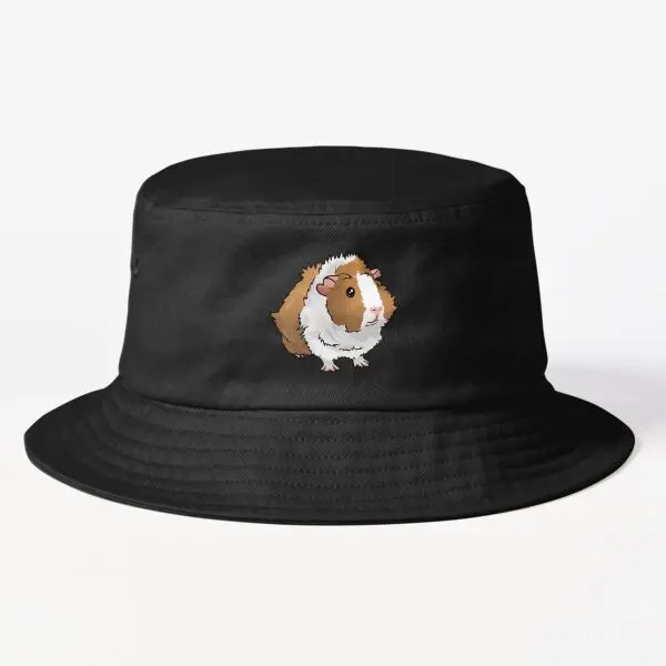 

_ Голландская бездренажная морская свинка, Панама, летняя модная спортивная шляпа от солнца в стиле хип-хоп, недорогие весенние кепки Рыбаки