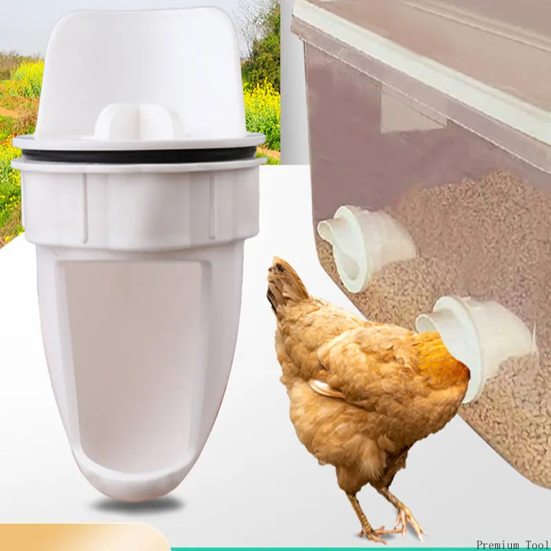 

And Geese Feed Ducks Bucket Automatic Feed Kit Poultry Feeder Box Feed Gravity Chickens Duck Chicken Feeder Poultry Port Feeder