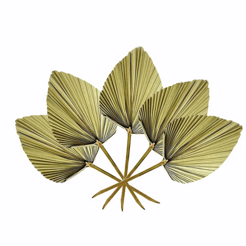 

Hot 5Pcs Trimmed Dried Palm Leaves, Boho Wedding Decor, Hawaiian Party Table Decoration, Dried Wedding Flowers
