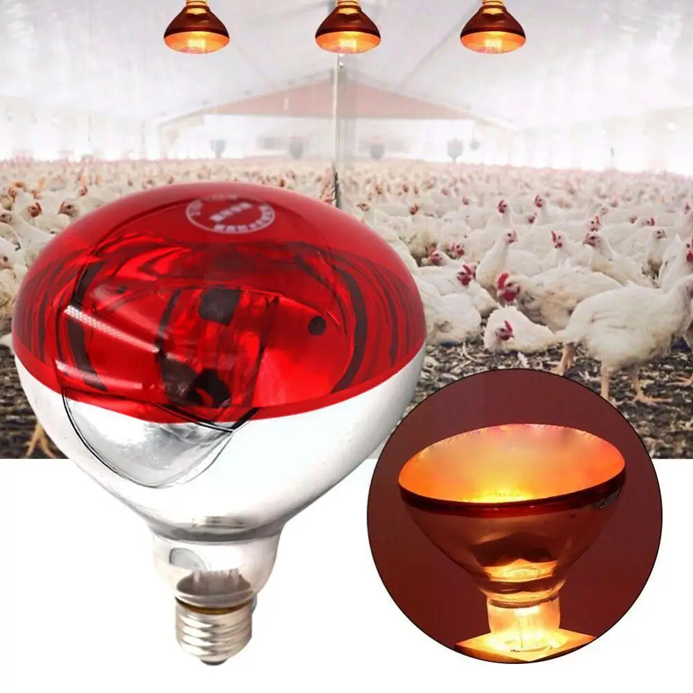 

1pc Farm Thermal Light Preservation Reptile Habitat Pig Supplies Lamp Ray Infrared Heat Led Chicken Lighting Dog T1r4