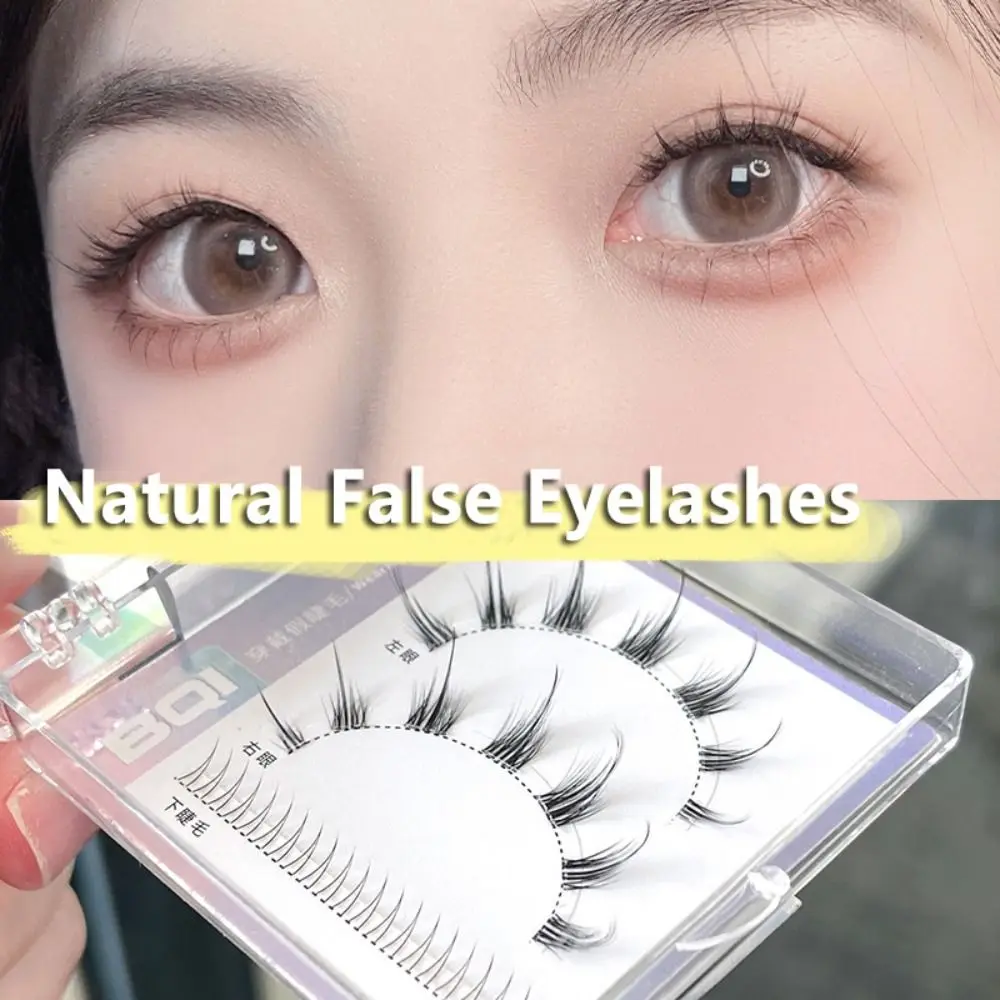 

1 Box Sunflower Eyelashes Single Clustered False Eyelashes Ins Style Black Long Cross False Eyelashes Extension Makeup Tool