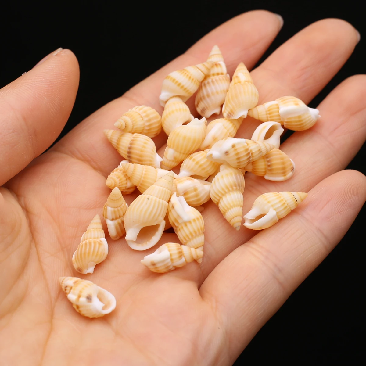 

Wholesale Natural Small Sea Snail Shape Shell Beads Loose Spacer Bead for Jewelry Making Diy Necklace Bracelet Accessories
