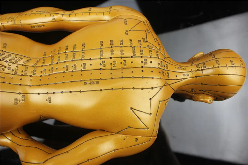 Медицинская HD Прозрачная Мужская Гальваническая статуя из чистой меди |