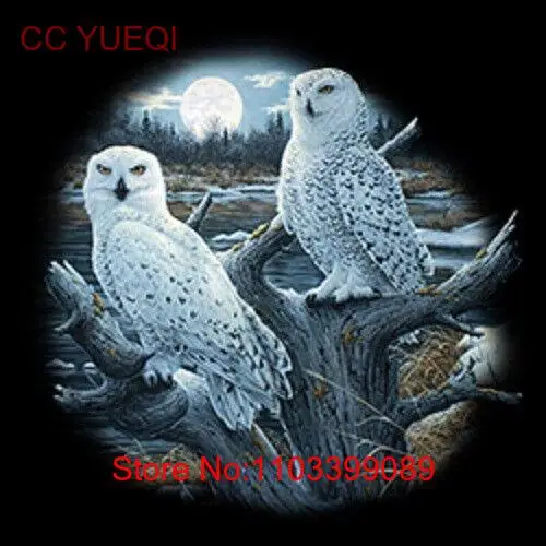 Футболки NoEnName_Null с изображением сов