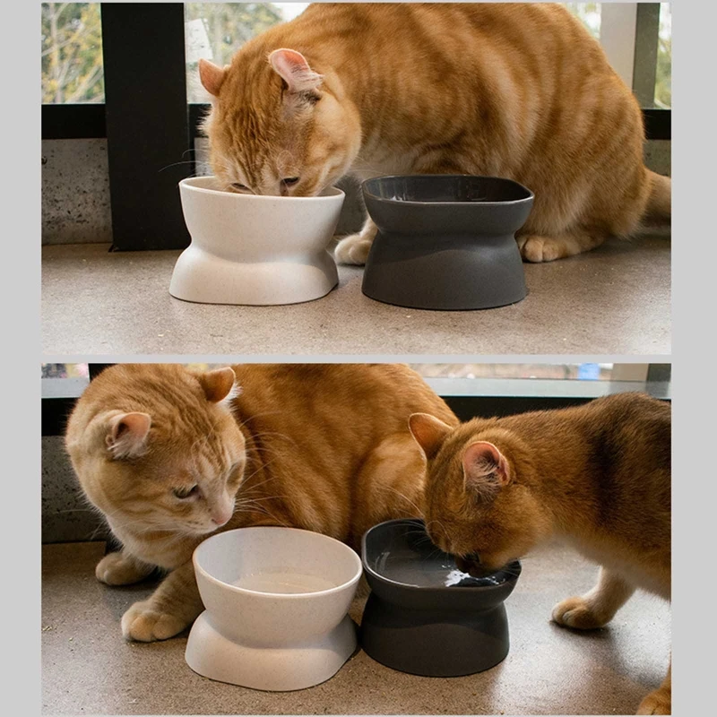 

10° Tilted Raised for Cat / Water Bowls Nonslip No Spill Pet Feeding Bowls