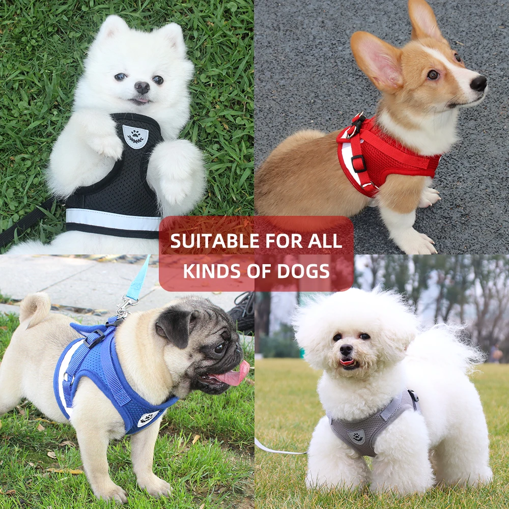 

Adjustable Puppy Dog Vest Collar Reflective Cat Kitten Harness Vest Pets Outdoor Walking Leash Collor Rope Dogs Accessories