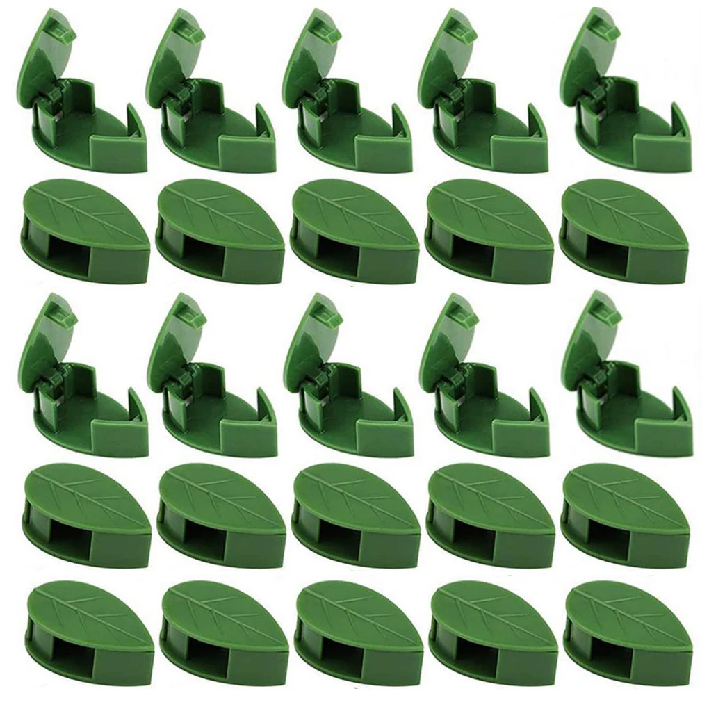 

Зажимы для растений из ротанга, настенный зажим для растений для гостиной, балкона, офиса, теплицы