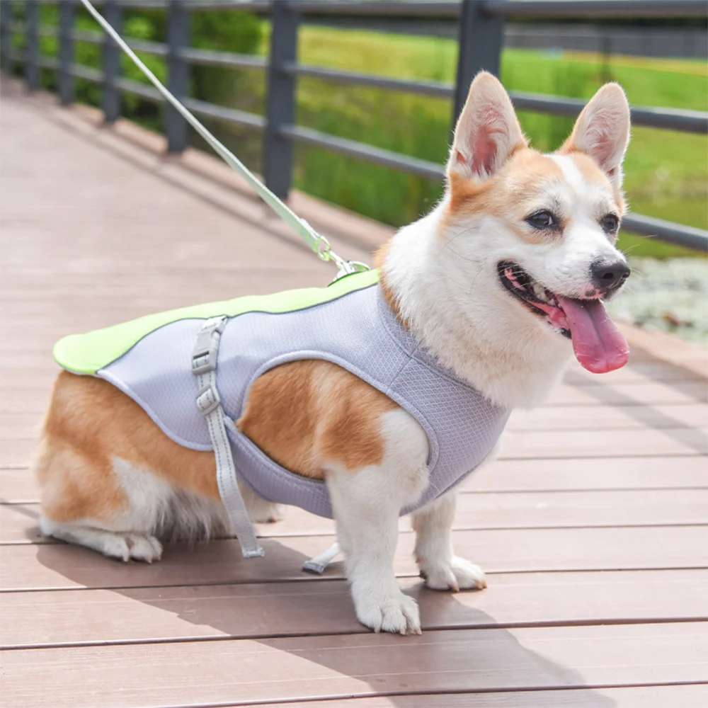 

Dog Vest Dog Accessories Summer Cooling Pet Clothes Heatstroke Prevention Breathable Night Reflective Strip Pet Products