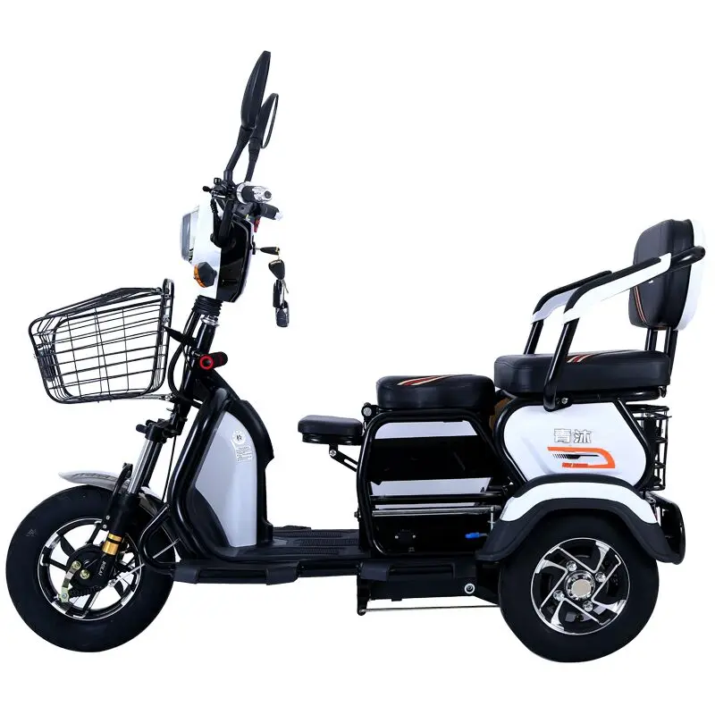 

48V/23A Electric Tricycle with Shed Household Mini Lithium Battery