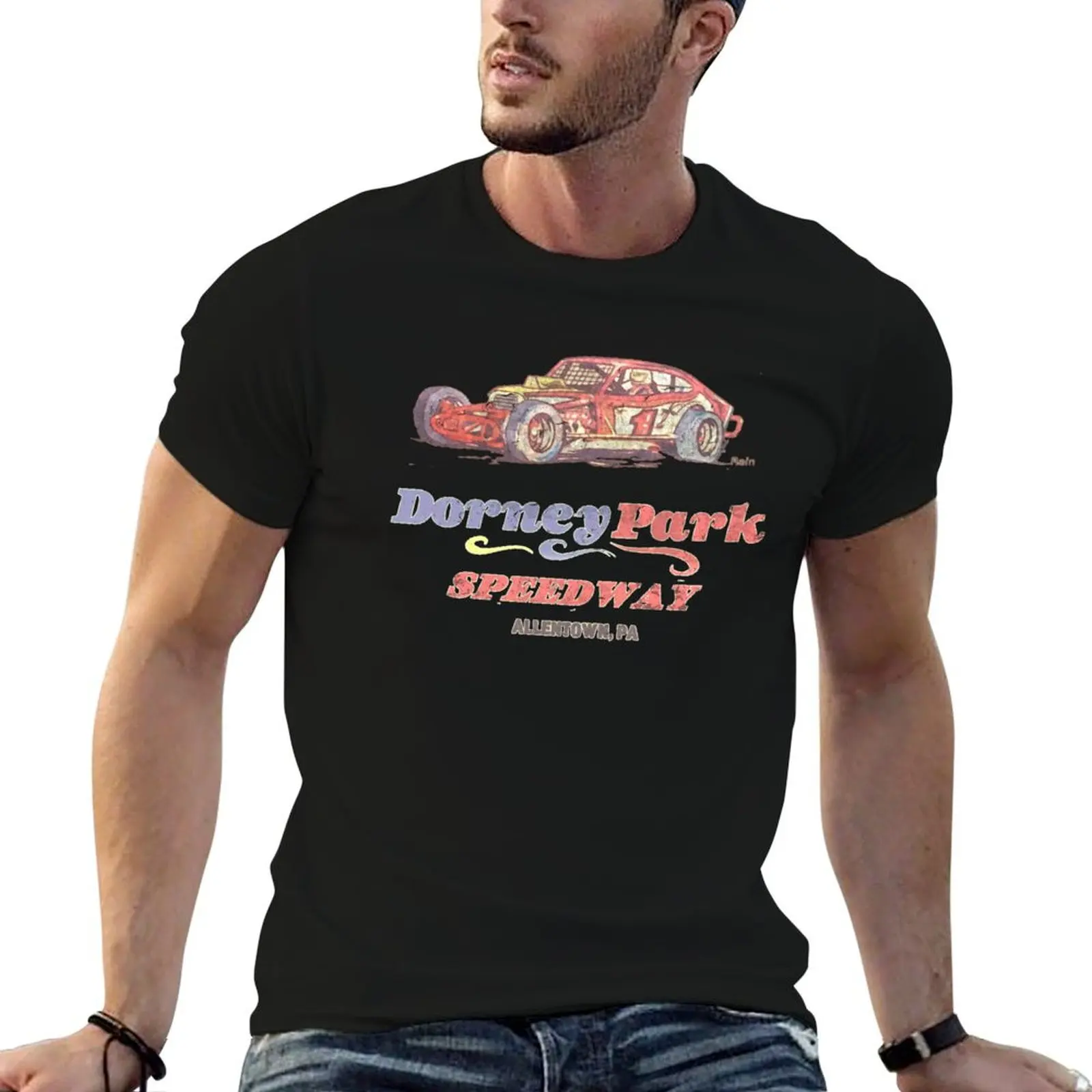 Винтажная гоночная футболка Dorney Park Speedway забавные костюмы рубашки большого