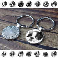 fashion boston terrier keychain personalized pet dog black and white metal keychain for men women animals glass dome keyring