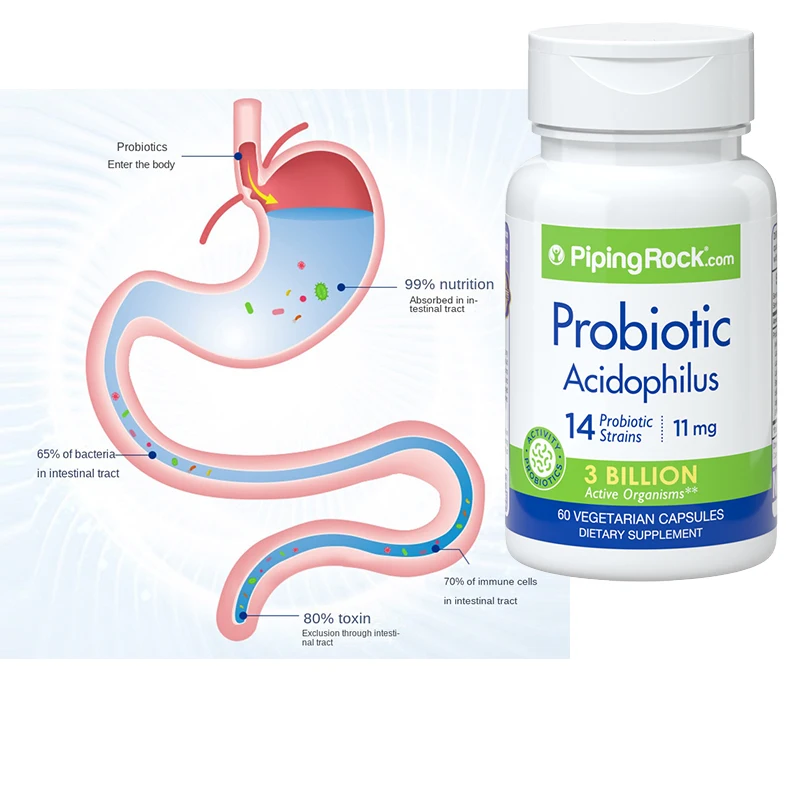 

14 Kinds of Intestinal Probiotic Capsules for Adult Intestinal Regulation and Maintenance of Lactic Acid Bacteria Constipation
