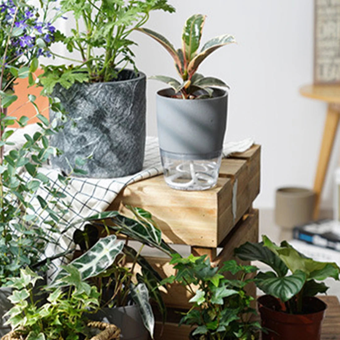 

Transparent Automatic Convenient Practical Attractive Creative Water Absorption Flowerpot Plant Pot Container