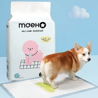 2022 pet dog diapers disposable male dog diapers new super absorbent diapers for dogs and cats dog diapers male wraps pants