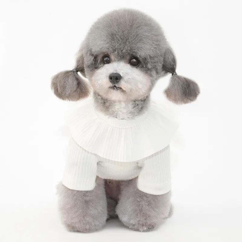 

Cat Shirt Summer Pet T-shirt Pajamas Cute Pure Color Dog Clothing Chihuahua Doggie Puppy Yorkshire Poodle Pomeranian Clothes