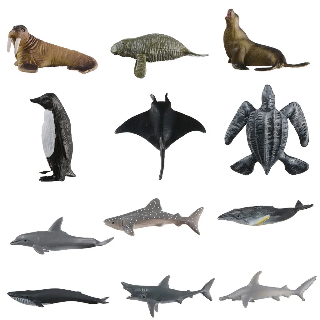 

Toys Dolphin Children Simulated Animal 12Pcs Model Figure Marine Education