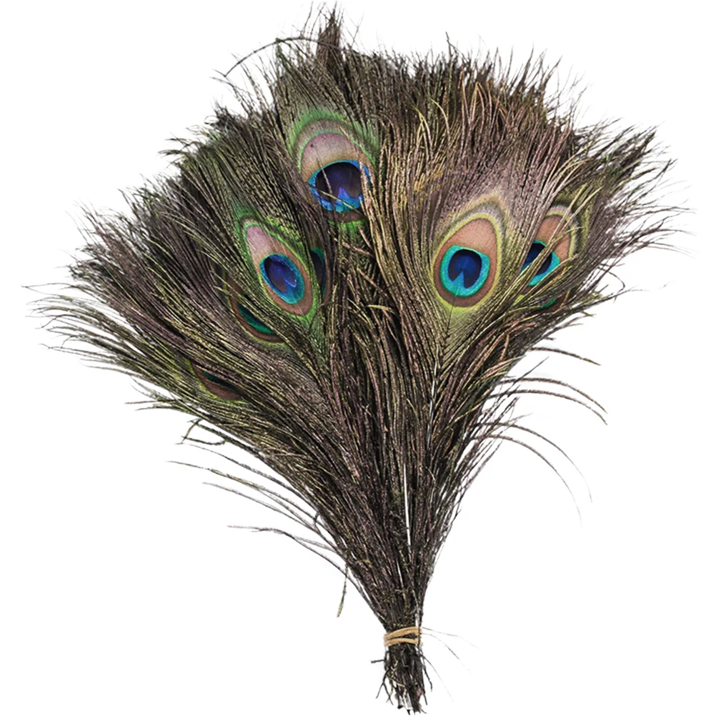 

10pcs Crafts Natural DIY Plumes Materials DIY Plumes Vase Filling Plumes Plumes For Crafts Home Wedding Decoration