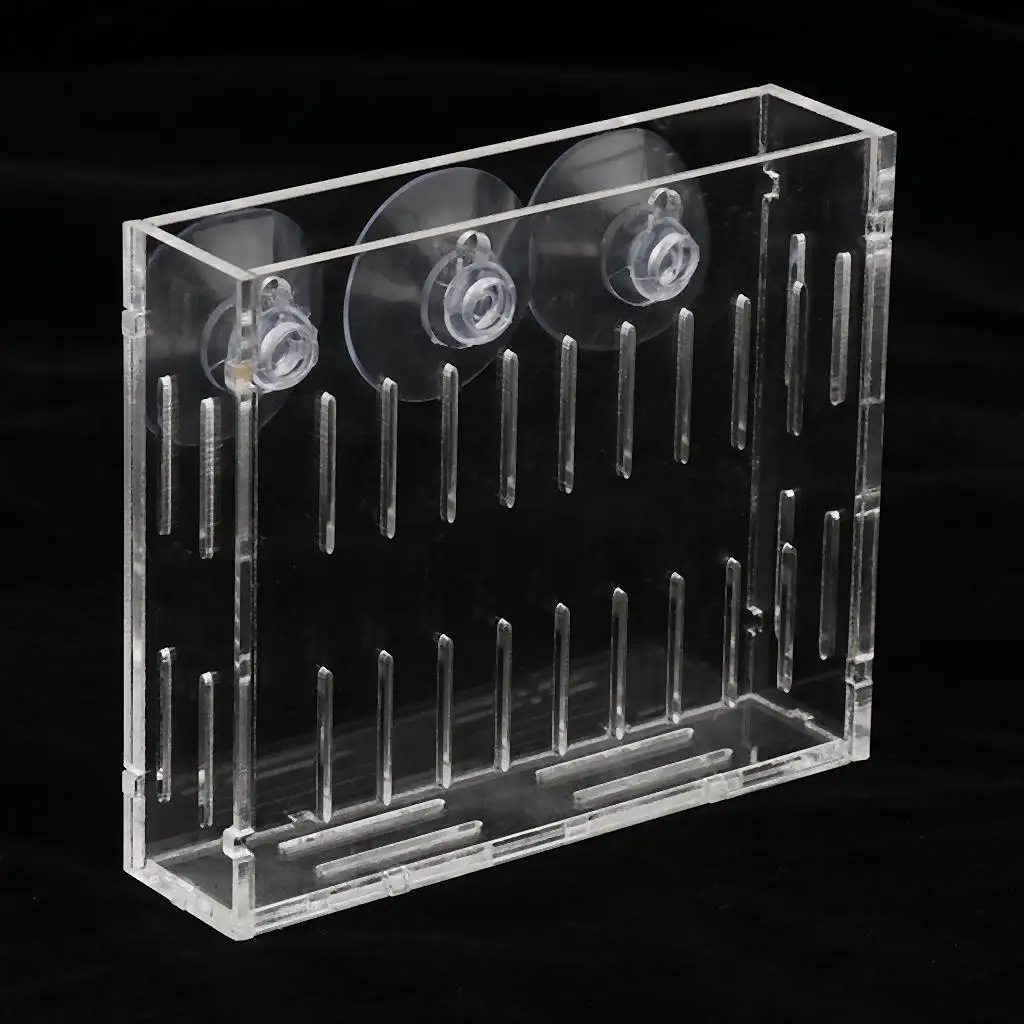 Акриловые семена растений подставка для чашки Glossostigma Hemianthus кореtrichoides