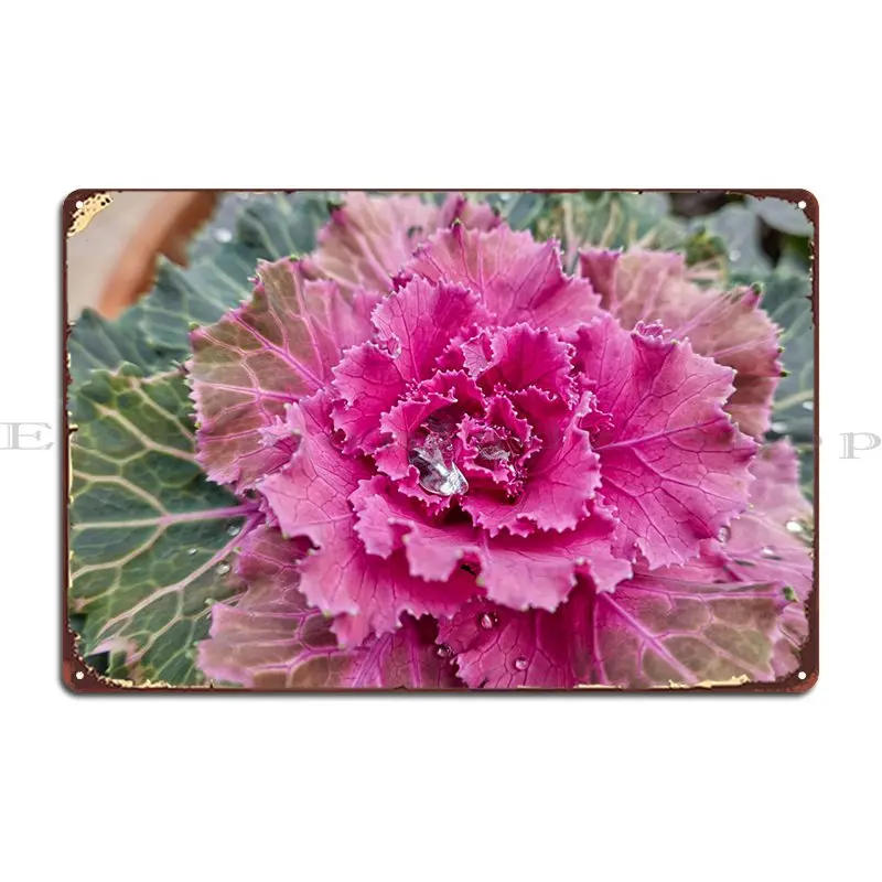 

Металлический плакат с изображением брассики южноацеи, Настенный декор для кухни, оловянный плакат