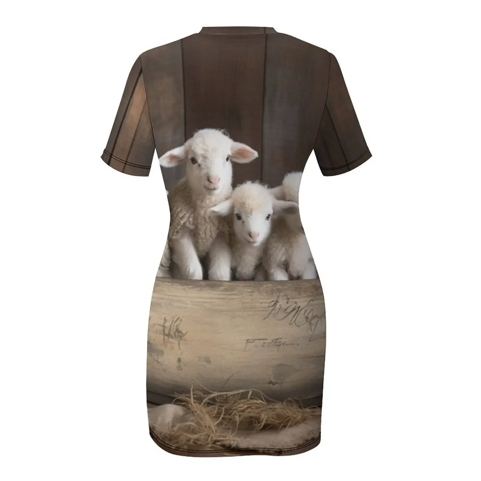 Фото Lamb Haven: Сказки о любви и чудесах в деревянной коробке. Платье с короткими рукавами. Летняя женская одежда. Летнее платье на каждый день. №5