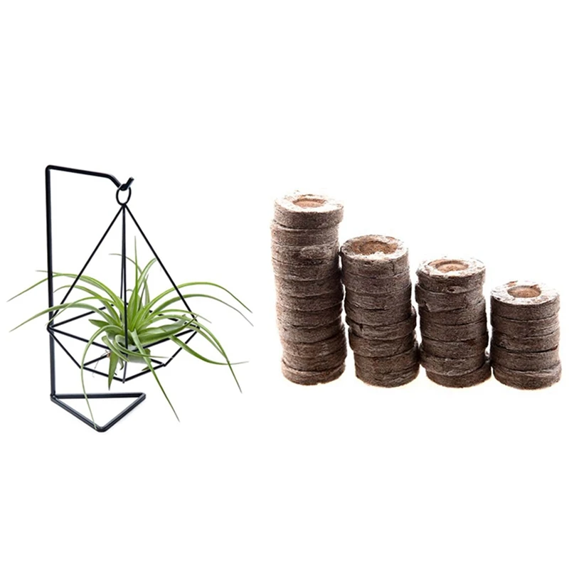 

1 Pcs Air Plant Holder, Air Plant Terrarium, Air Plant Stand & 200 Pcs Peat Pellets Plant Starting Soil Block
