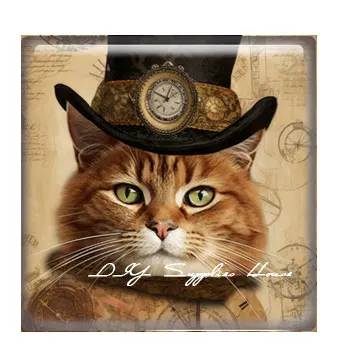 10 шт./лот ретро стимпанк шестерня кошка девушка квадратная фотография стеклянный