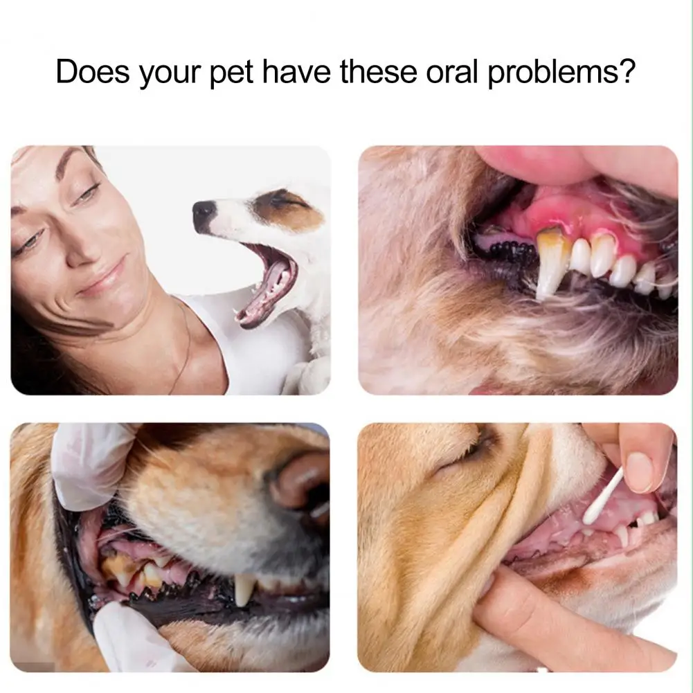 1 компл. Прочная зубная щетка для кошек легкая собак портативная удаления зубного