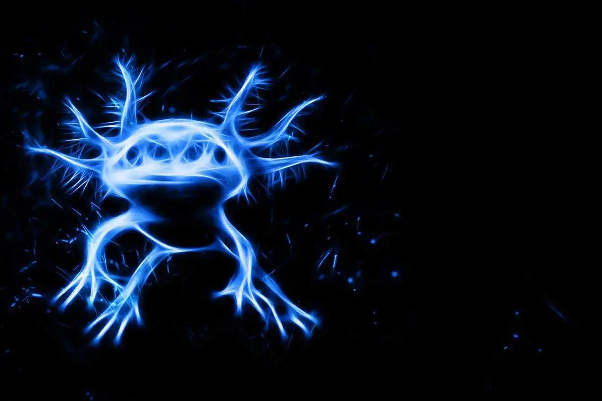 

Axolotl оловянные пластины декор для стен декор комнаты Ретро винтажный металлический знак жестяная вывеска для кафе паба дома клуба мужская п...