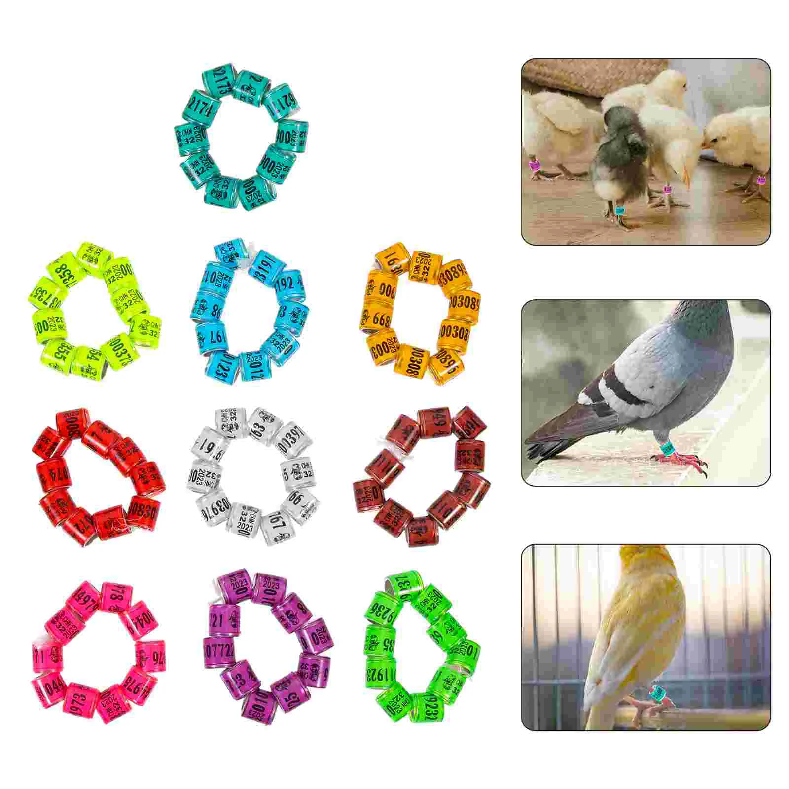 

Leg Pigeon Rings Bands Bird Foot Chicken Marker Band Pigeons Private Supplies Small Pet Poultry Identify Ring Distinguish Racing