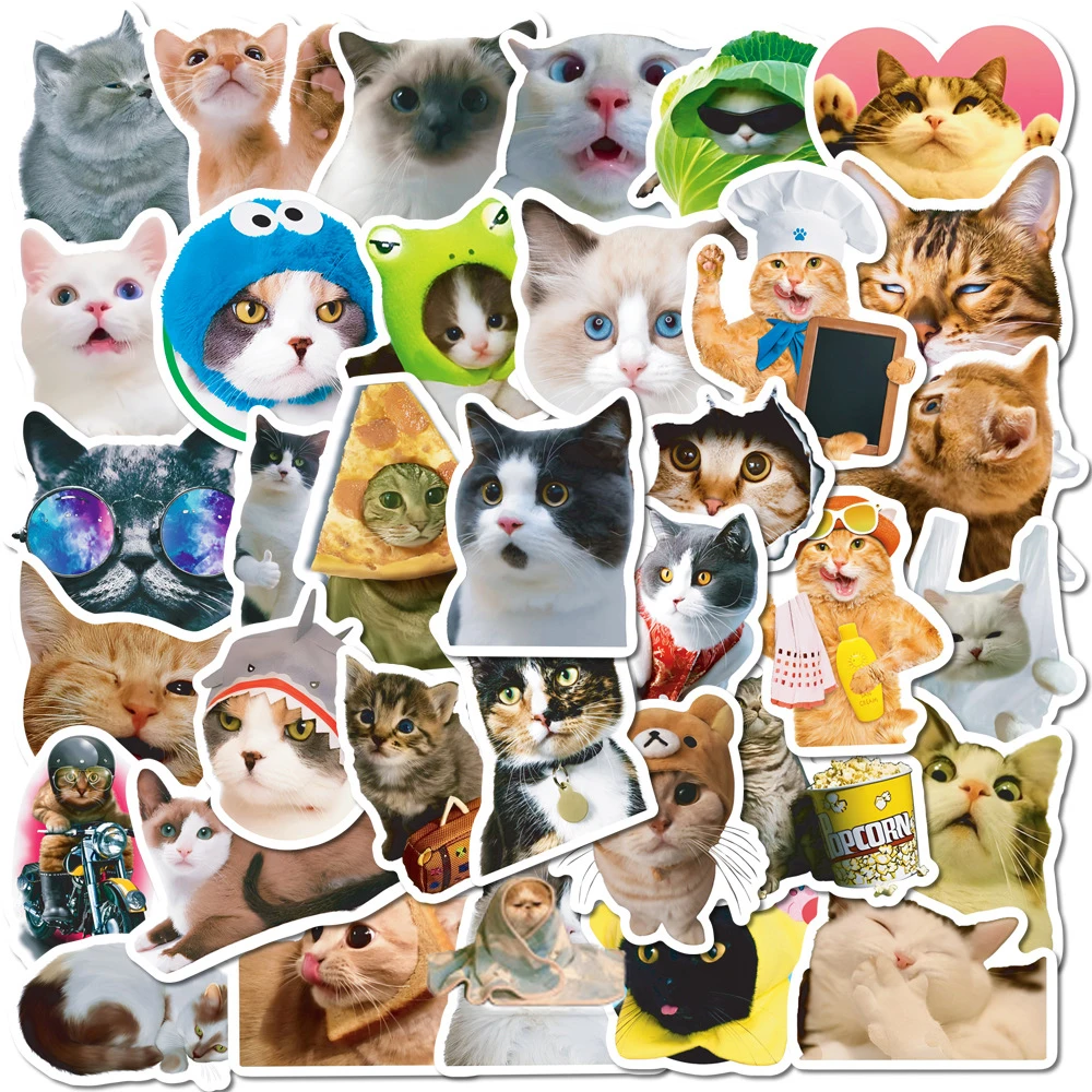 

10/30/50PCS Cute Animal Cat Meme Stickers Decals Kids Toy DIY Diary Suitcase Scrapbook Laptop Bike Graffiti Fun Sticker Kid Gift