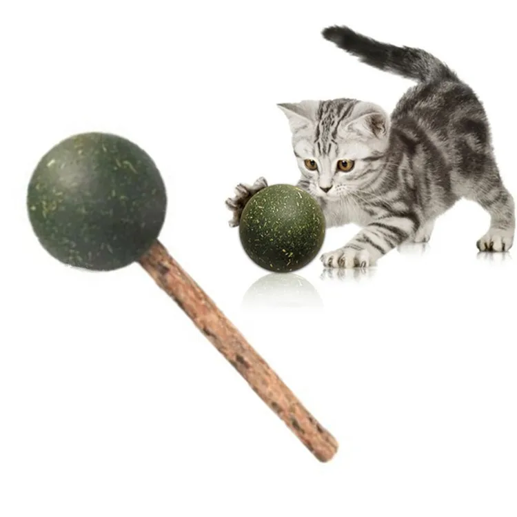 Деревянная фотография Polygonum молярные зубы и чистые игровая мяч для кошки леденец