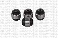 

Rear axle bushing for 10020171