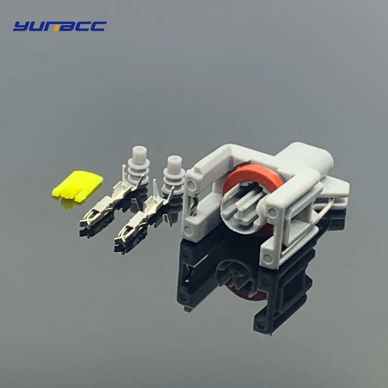

5 Sets 2 pins Waterproof Connector For Delphi injector connectors plug 10811963