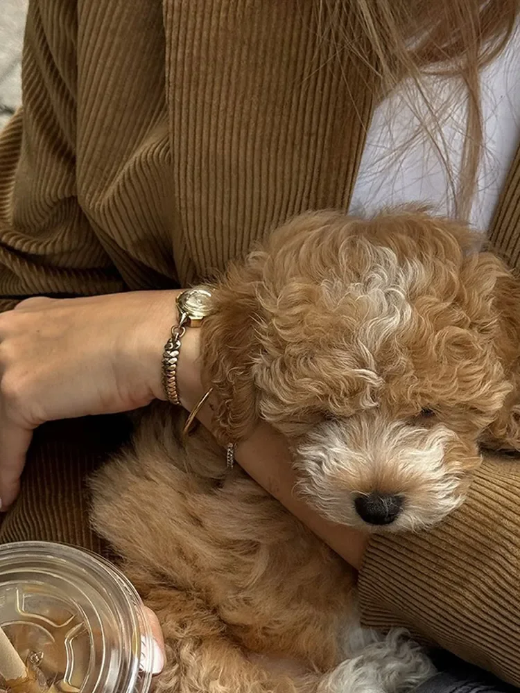 Женская Повседневная куртка с отложным воротником шикарная длинным рукавом и