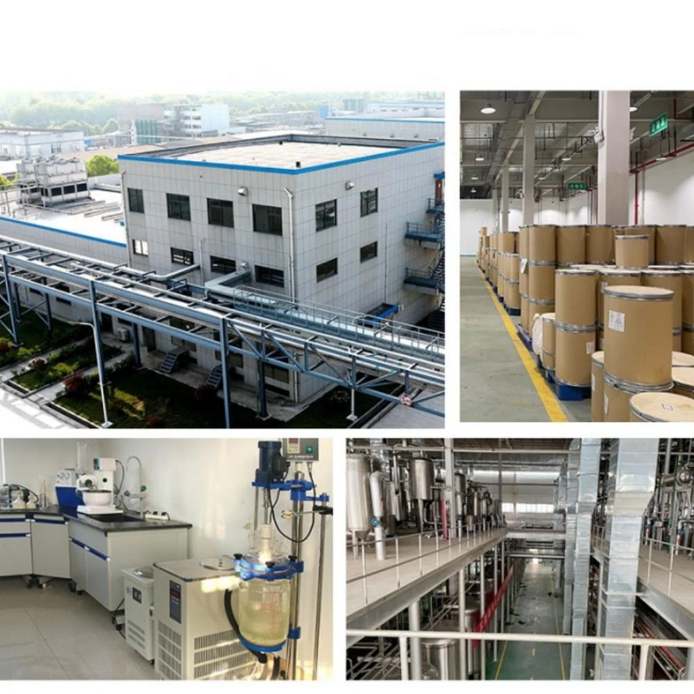 Порошок DMAE битарнаята DL-Dimethylaminoethanol уход за кожей против старения морщин сырые