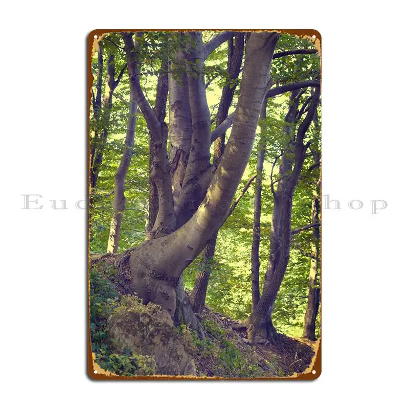 

Summer Forest Metal Sign Painting Funny Wall Decor Create Club Tin Sign Poster