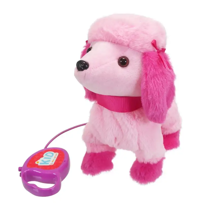 

Прогулочный питомец, пудель