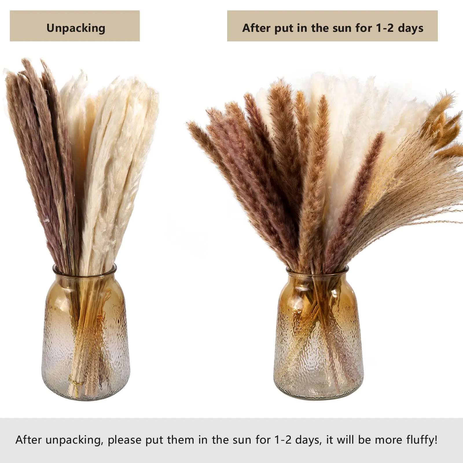 Натуральная сушеная пампасная трава букет из длительных сушеных цветов для