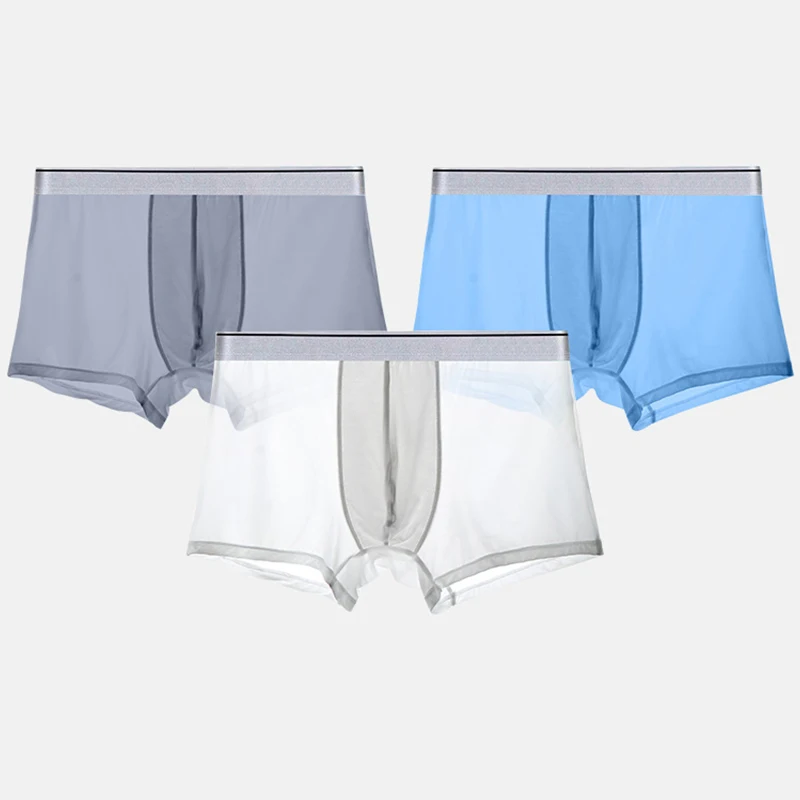 TOQUCL Men Bigger Sizes Ice Silk Sexy Mens Underwear 2 Pairs Summer Ultra Thin Boxer Breathable Boxershorts 5XL 6XL 7XL 8XL 12XL