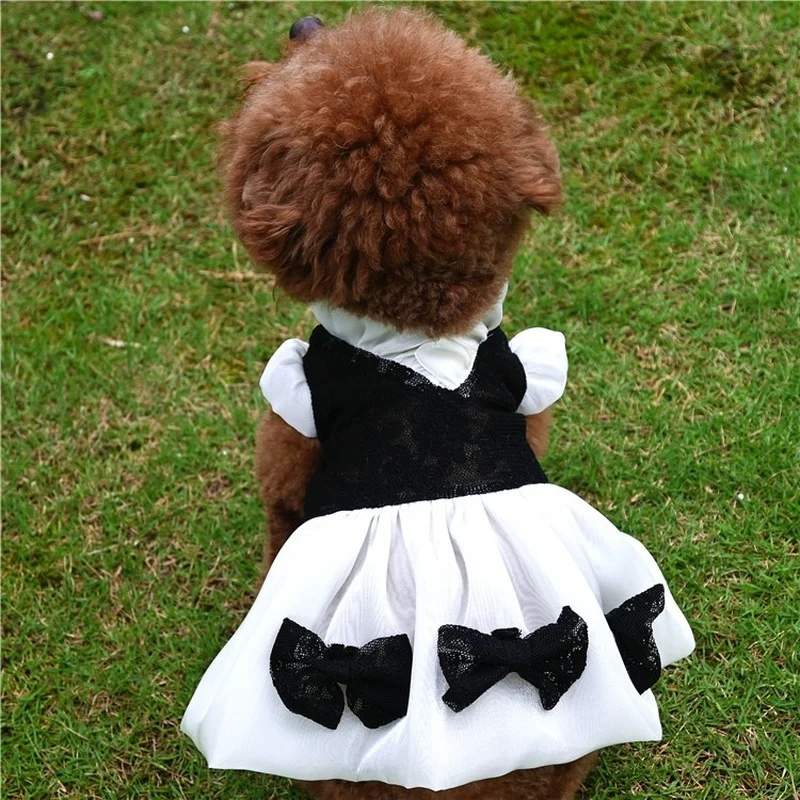 Pet Dress Spring Summer Small Dog Black White Princess Skirt Vintage Lace Breathable Designer Clothes Chihuahua Poodle Yorkshire