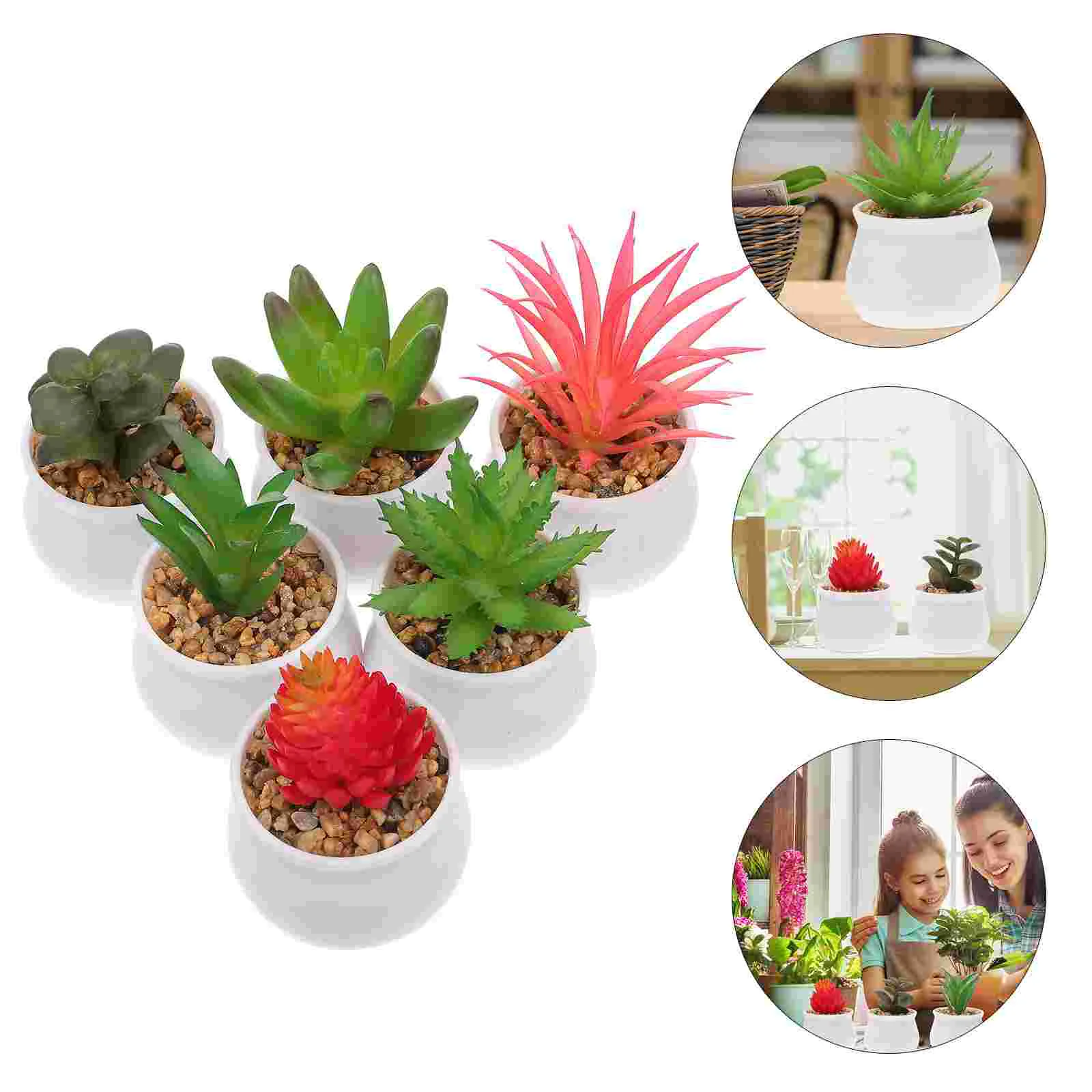 

Bonsai Potted Artificial False Succulents Lifelike Small Vivid Ornament Desktop Decor Mini Fake